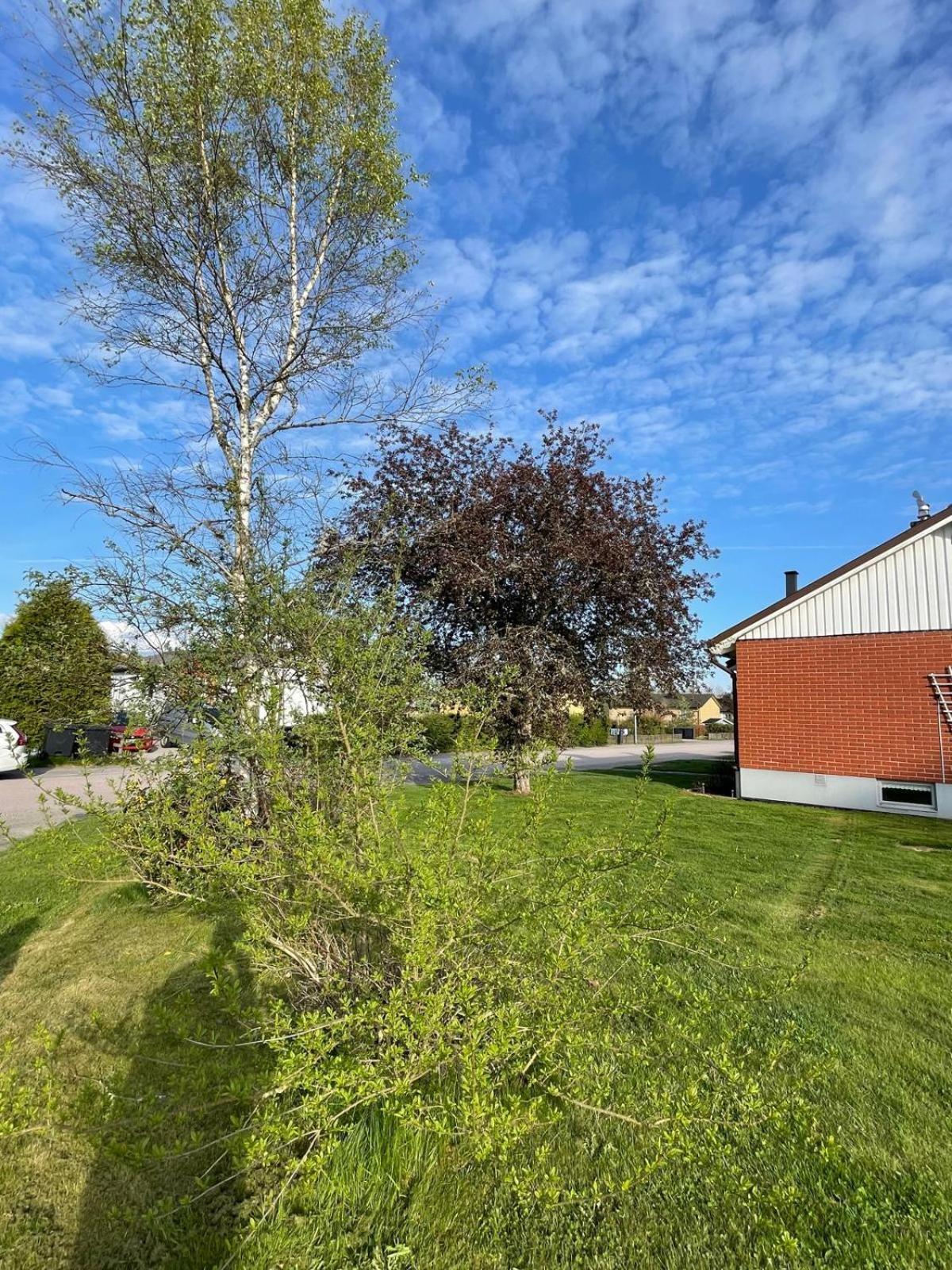 Modern 3 Bed Rooms In Almhult Close To Vaxjo Airport Eksteriør bilde